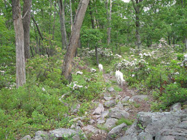 IMG_0067 (Small).JPG IMG_0067 (Small).JPG